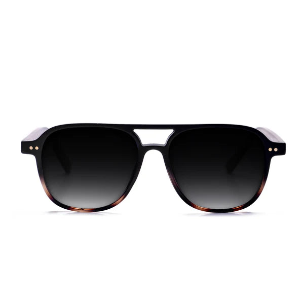 DAX Briggs Sunglasses