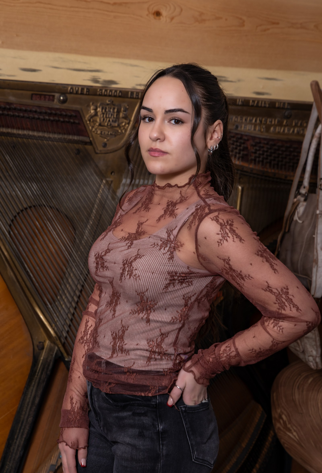 Sheer Lace Long-Sleeve Top